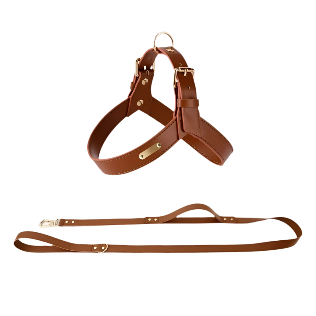 StellaBarks Luxe Leather Dog Harness Set