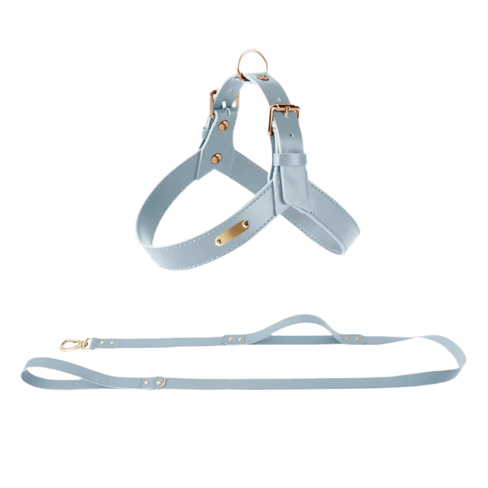 StellaBarks Luxe Leather Dog Harness Set