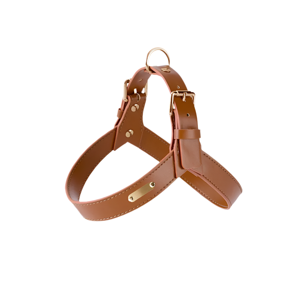 StellaBarks Luxe Leather Dog Harness Set