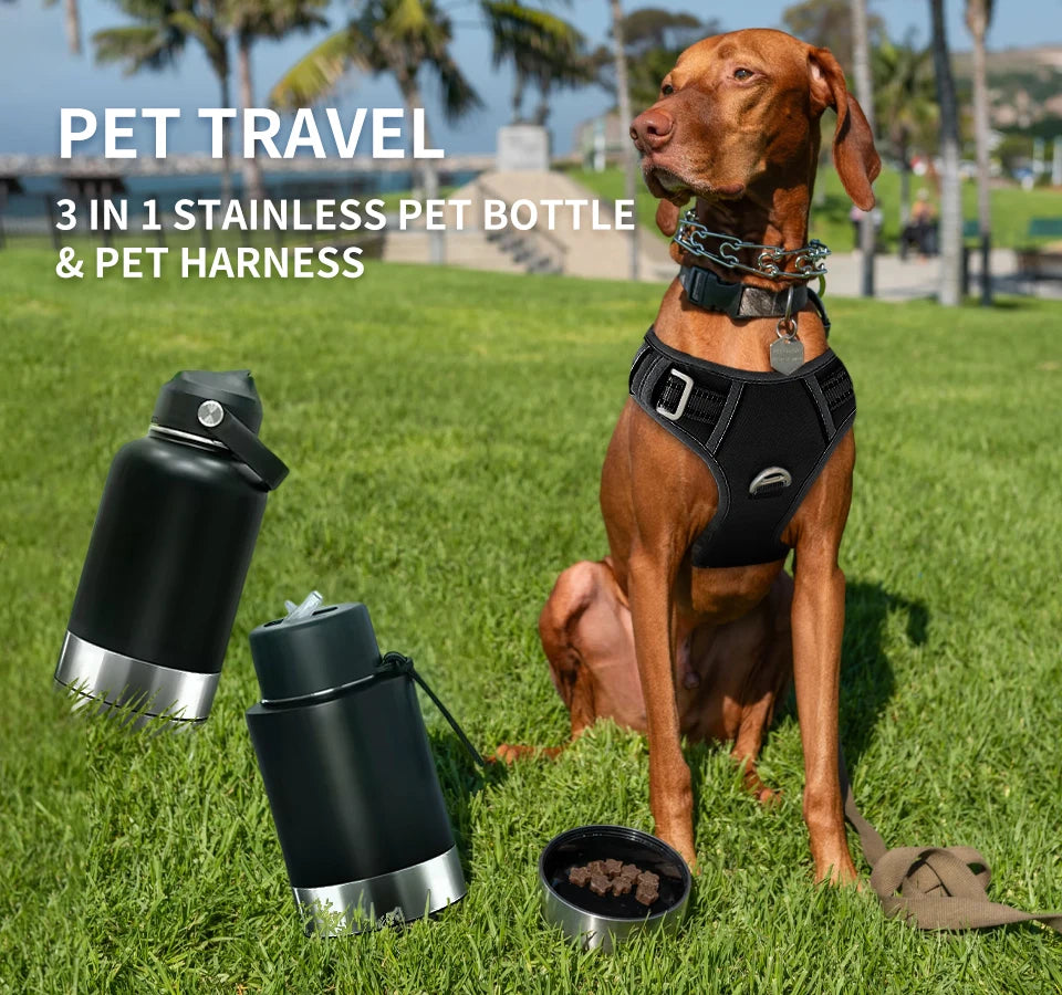 StellaBarks 3-in-1 Stainless Steel Adventure Bottle