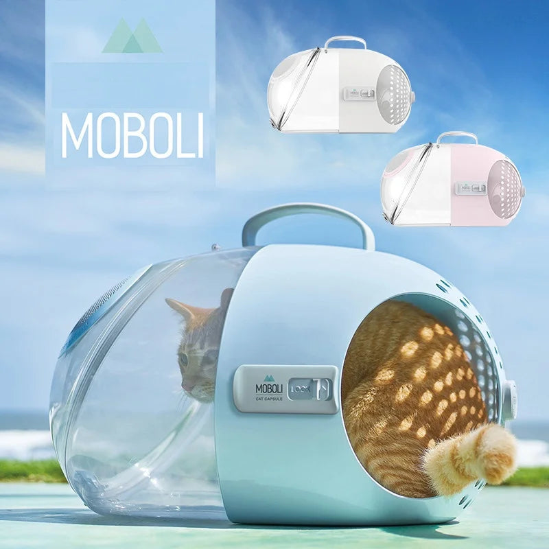 ViewPod: Transparent Travel Capsule