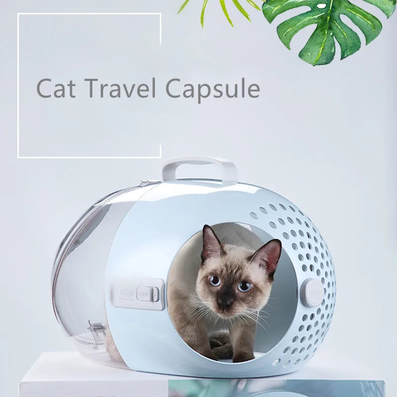 ViewPod: Transparent Travel Capsule