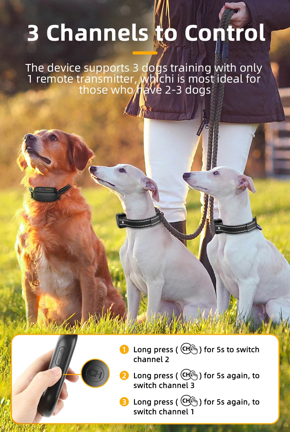 ROJECO StellaBarks Electric Training Collar | SmartPaws