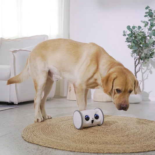 SkyMee Owl Robot: HD Smart Pet Robot