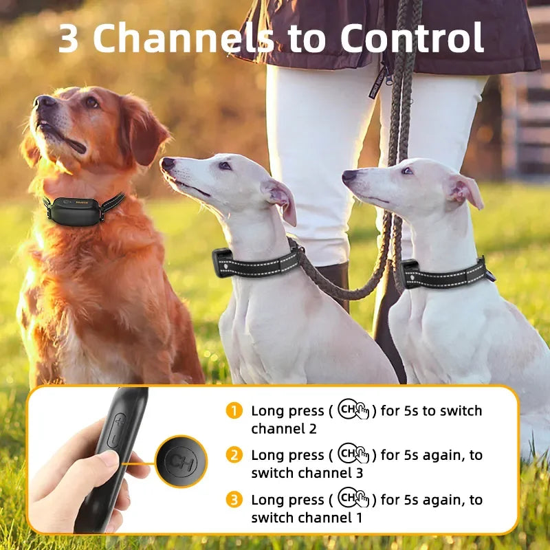 ROJECO StellaBarks Electric Training Collar | SmartPaws