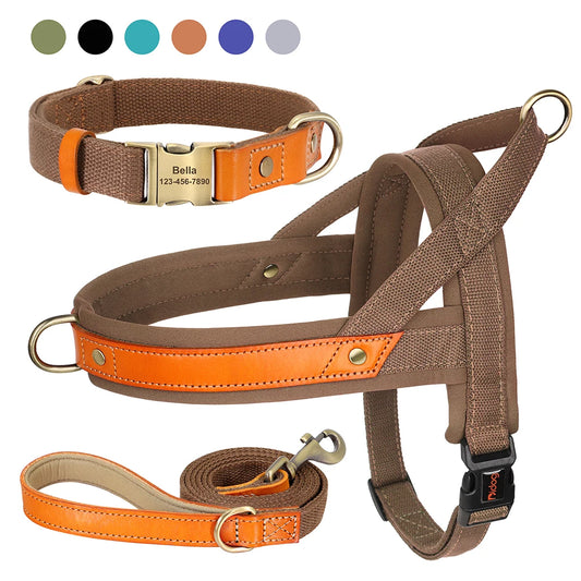 StellaBarks Adventure-Ready Nylon Dog Collar & Harness Set