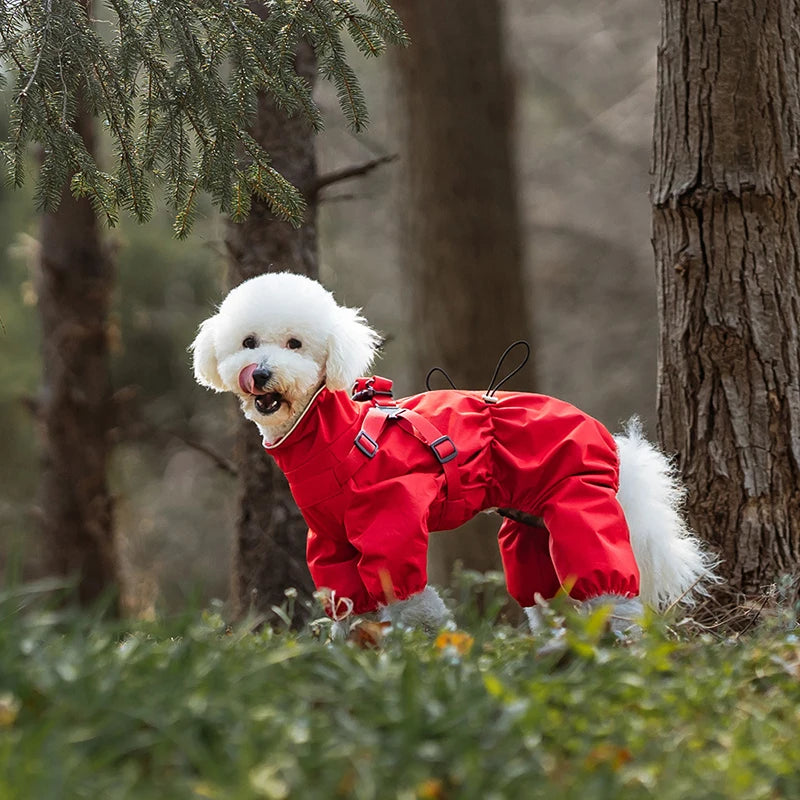 Reflective Waterproof Dog Raincoat with Built-in Harness | StellaBarks