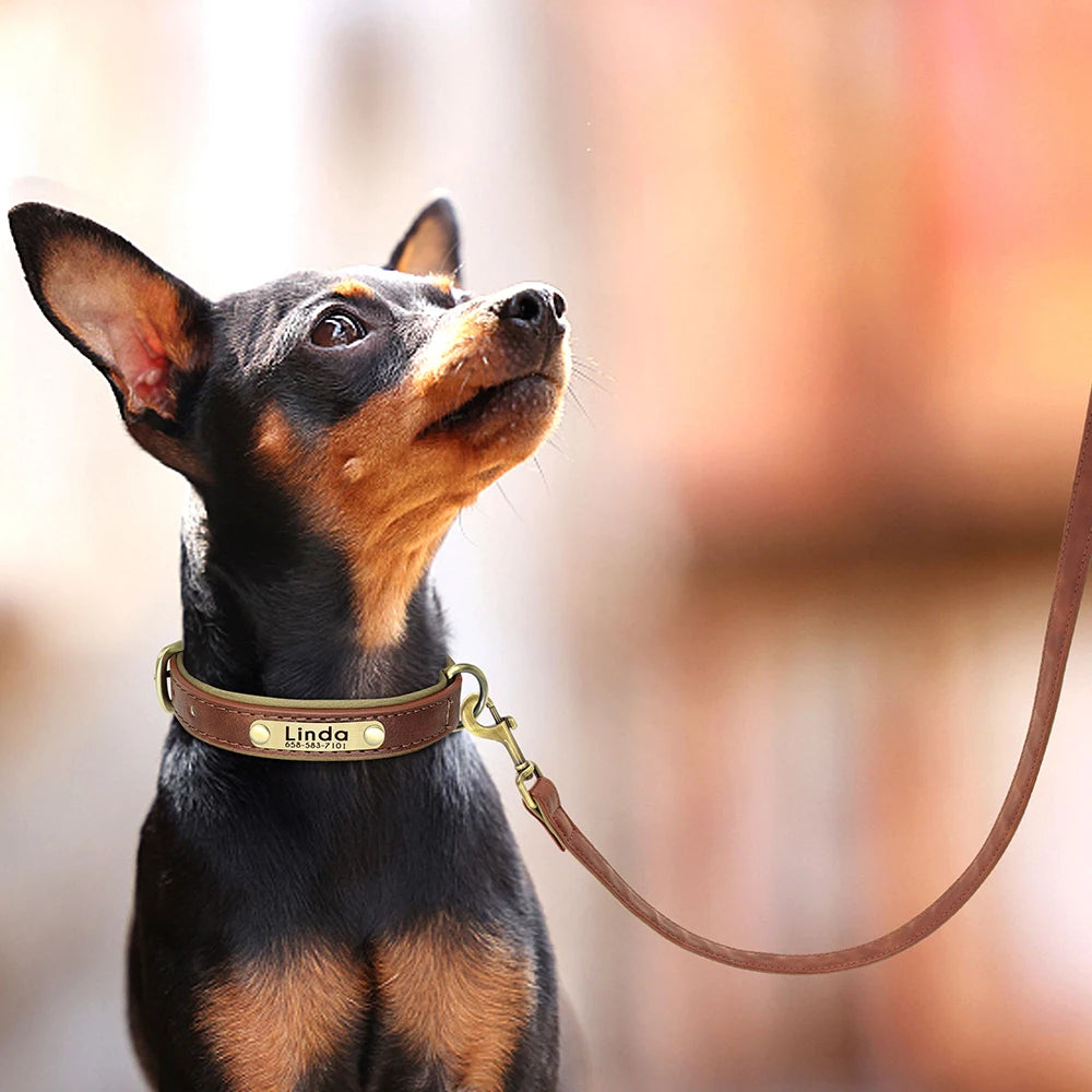 Royal Leather Collar & Leash Set