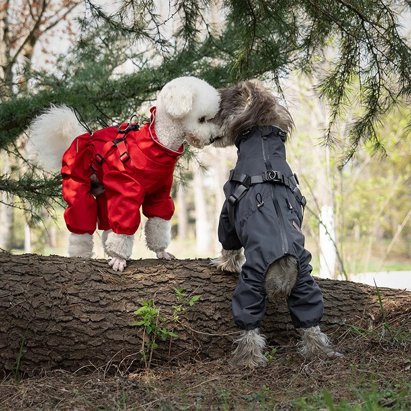 Reflective Waterproof Dog Raincoat with Built-in Harness | StellaBarks