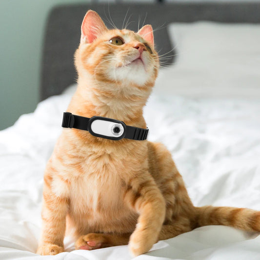 ViewPaw: HD Wireless Collar Camera